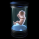 Illustration for article titled The Easiest, Most Horrifying Way to Create Artificial Wombs